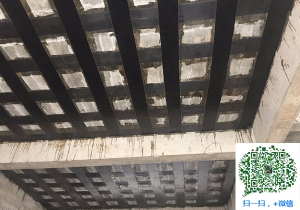 阜南厂房碳纤维加固